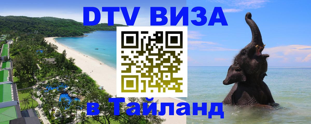 Сколько стоит DTV виза — актуальные цены, оформление даже без документов - 20.11.2025 
