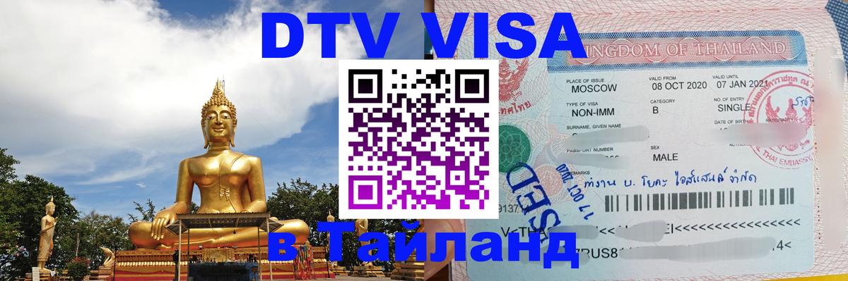Оформление DTV визы под ключ: стоимость и тарифы, только загранпаспорт - 